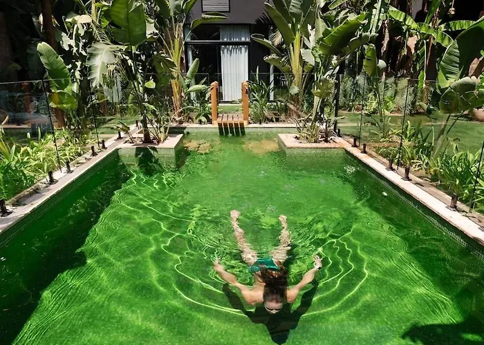 Hotel Saman Boutique Valencia