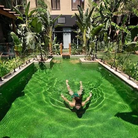 Hotel Saman Boutique Valencia
